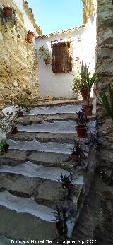 Casa Museo de Manuel Jódar. Escalera del patio